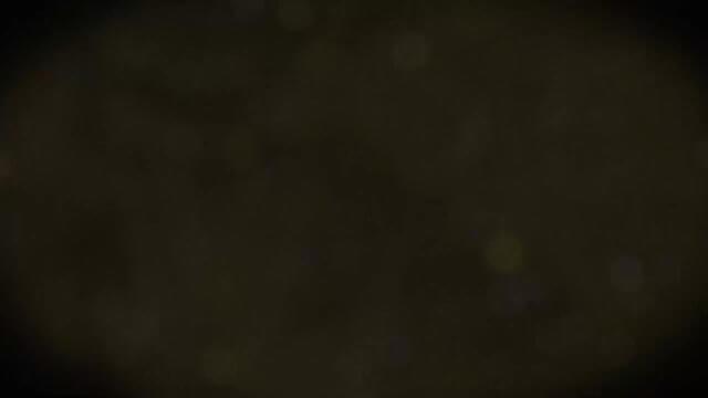 Измельчитель для мяса Я3-ФИД фото 5