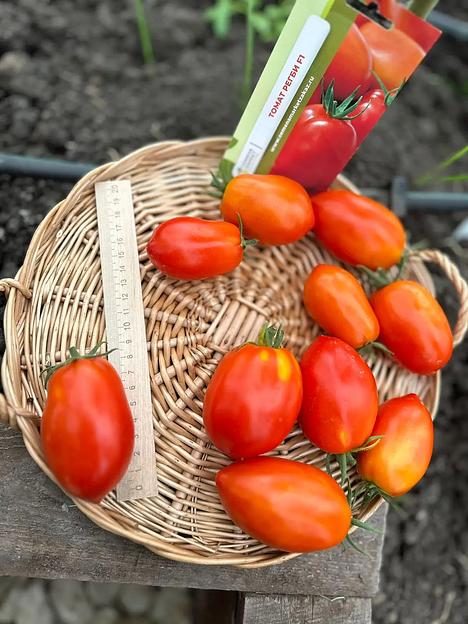 Семена посевные Томат «Регби F1» ОПТ фото 5