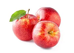 Удобрение для роста растений «Изагри Кальций» 10 л опт фото 3