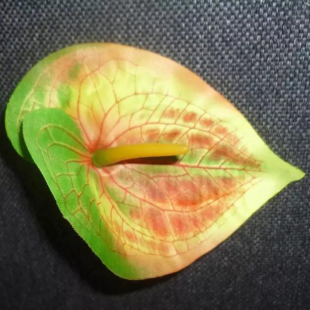 Головка каллы 018-025-060 1/40 фото 1