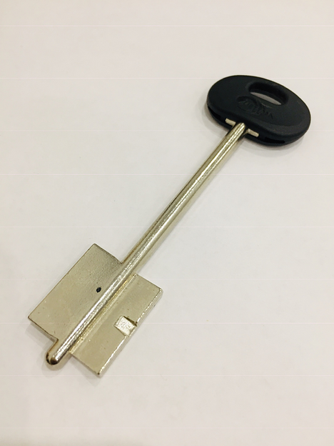 Заготовка ключа Меттэм-09 фото 1