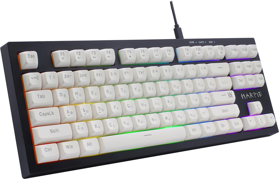 Клавиатура DEFENDER (45401) Harpie GK-401 RU,чер/бел,87кн+FN,радуж,1.5м фото 2