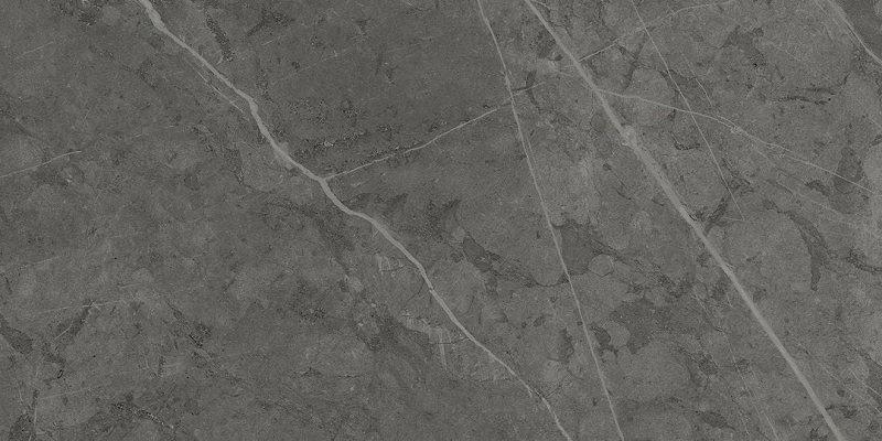 Керамогранит Italon Charme Evo Antracite 44x80 фото 1