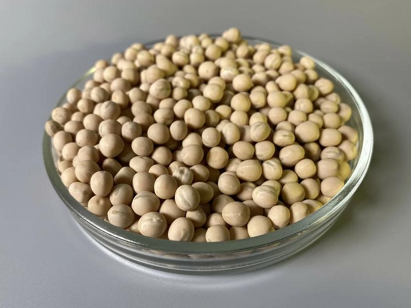 Семена гороха продовольственного фото 1