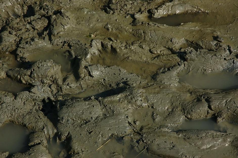 Ил для строительства фото 1