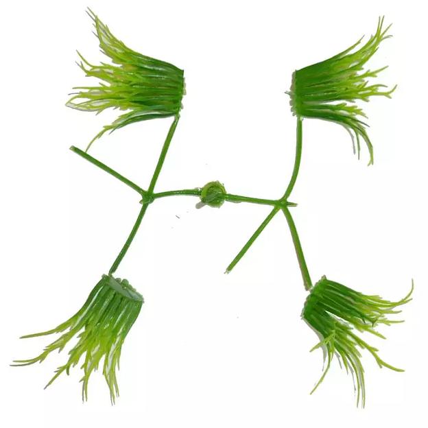 Добавка середина Длинные усы Зелёная 5-12см 161с (с крепл.) 706шт/кг фото 4