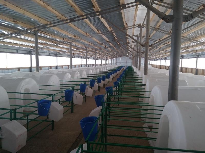 Домик для телят фото 2