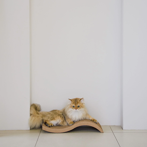 Когтеточка Волна бурая 50х9х25 см опт фото 1