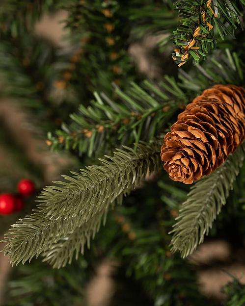 Ель с шишками и ягодами «Притча» опт фото 6