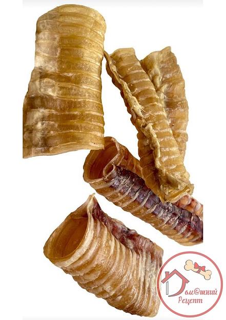 Трахея говяжья цельная лакомство для собак 1 кг ОПТ фото 1