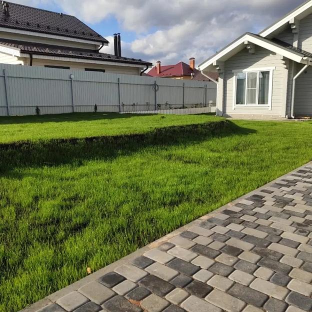 Семена газон элитный фото 1