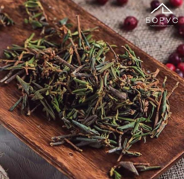 Иван-чай Саган дайля ОПТ фото 1