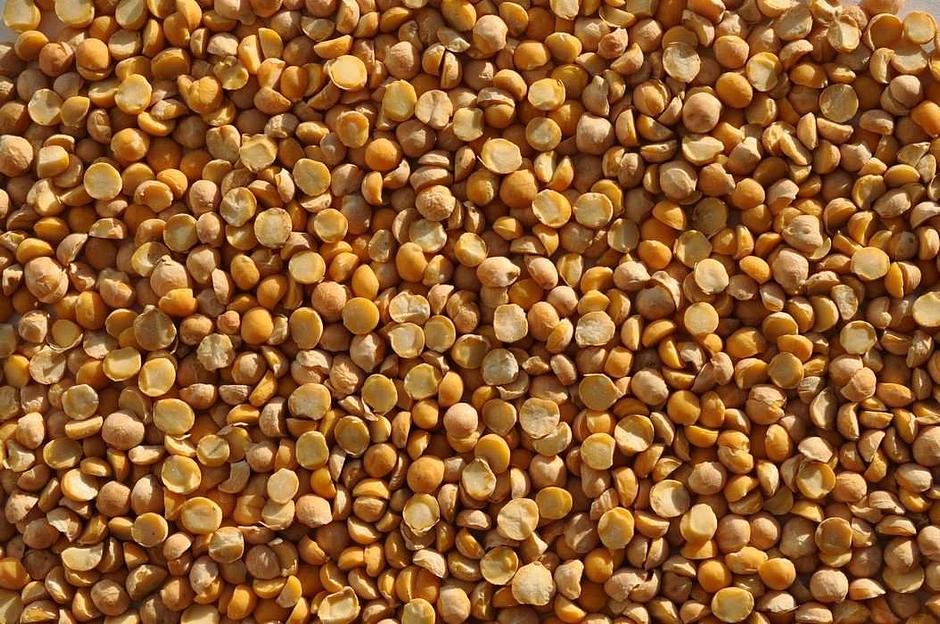 Горох колотый первый сорт опт фото 1