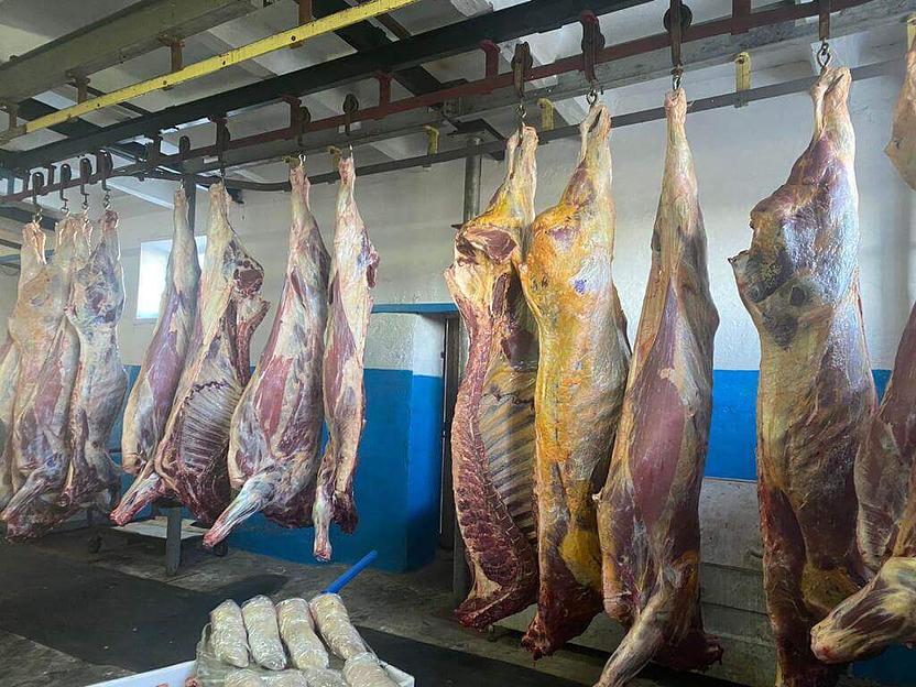 Охлажденные полутуши / четвертины быки молодняк, опт фото 1