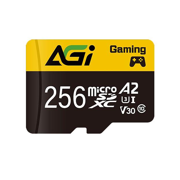 Карта памяти AGI 256GB microSD AGI256GGSTF138 фото 1