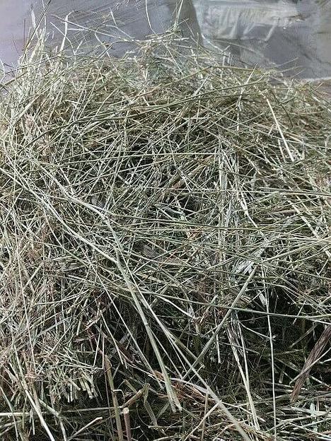 Полевое сено в тюках до 20 шт опт фото 2