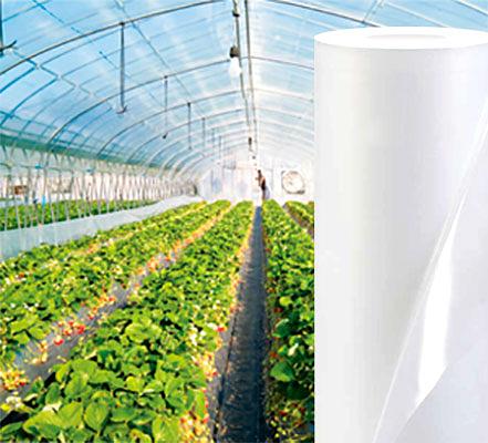 Пленка тепличная укрывная фото 1
