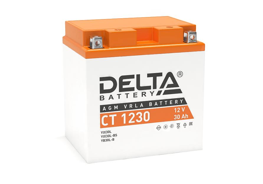 Аккумуляторная батарея DELTA BATTERY CT 1230 фото 1