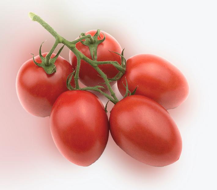 Томат сливовидный Фламенко на кисти ОПТ фото 3