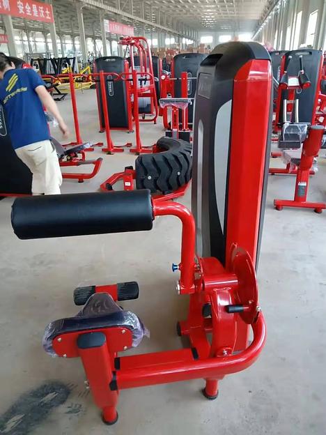 Пресс-машина Insight Fitness TF10 фото 5