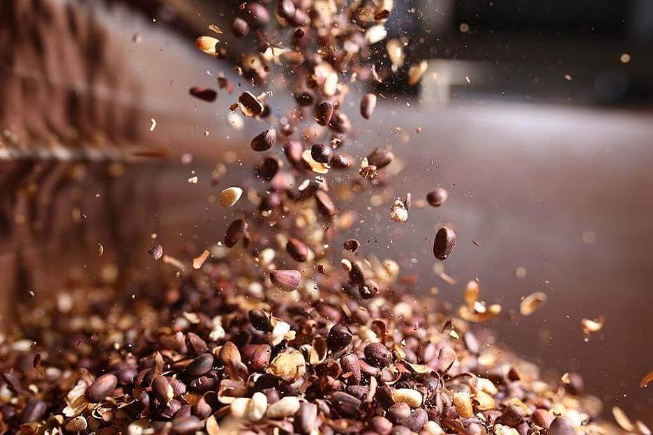 Скорлупа кедрового ореха для настаивания напитков Своя Настойка, 100 г ОПТ фото 2