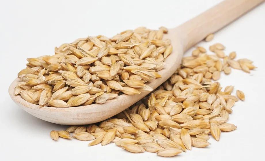 Поставка крупы ячменя под заказ фото 1