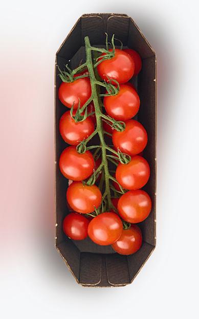 Томат черри премиум красный Фламенко лоток 250 г ОПТ фото 3