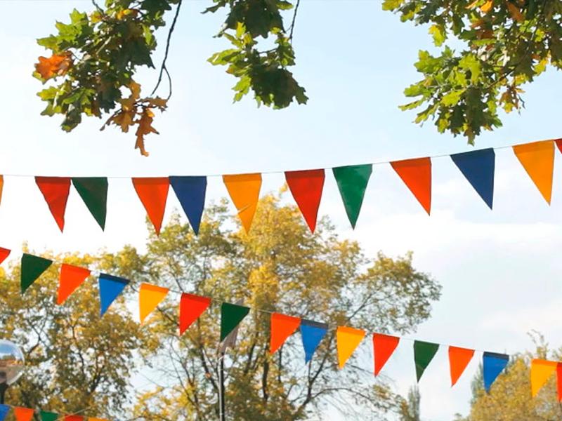 Флажковая гирлянда разноцветная фото 1