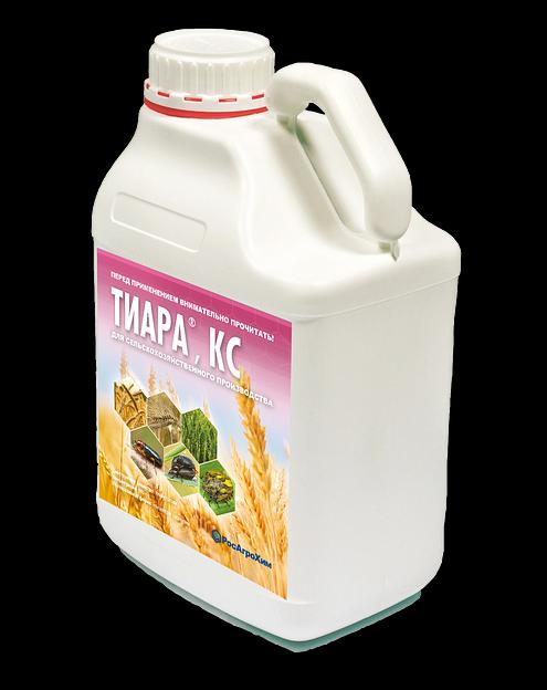 Тиара, КС фото 1