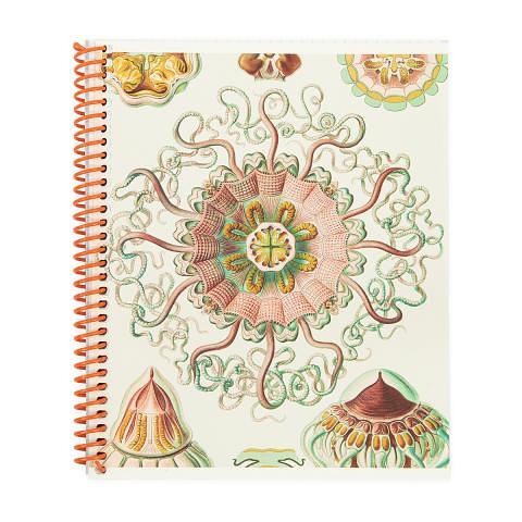 Тетрадь общая на спирали А5, 80 л., клетка, Медузы, белый, бордовый, SVT_800621_02, SVETOCH фото 1