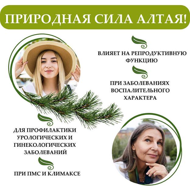 Алтайский бальзам с боровой маткой и красной щеткой 250 мл, опт фото 3