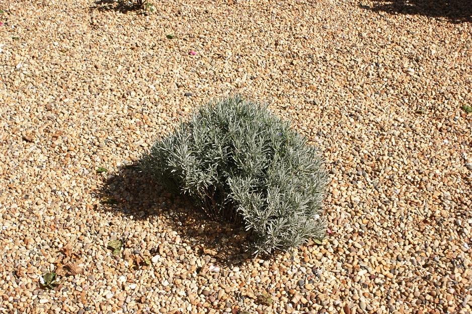 Галька камень речной Рыжий /тн (20-40 мм) фото 1