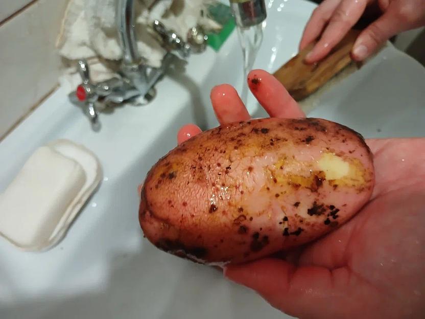 Картофель урожай 2023 года сорта Фаворит ОПТ фото 6