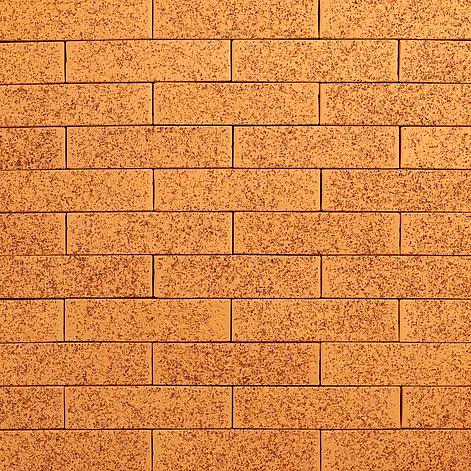 Кирпич Тайга «Ягель» 0,7-НФ опт фото 1