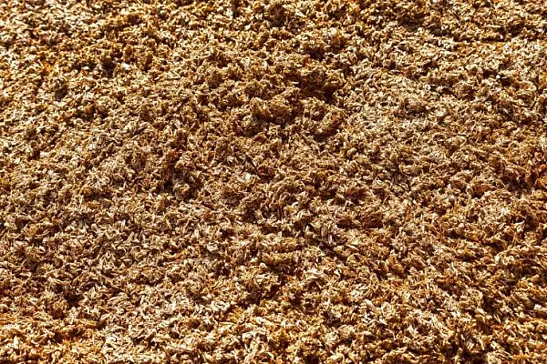 Пивная дробина кормовая фото 1