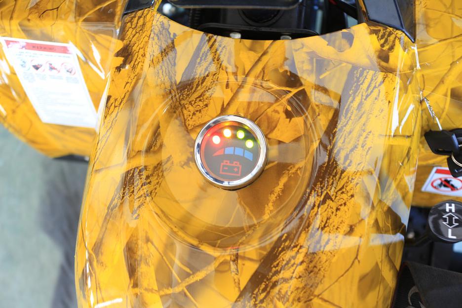 Квадроцикл GreenCamel Атакама T240 золотая осень (48V 1000W R8 Дифференциал) пониженная фото 8