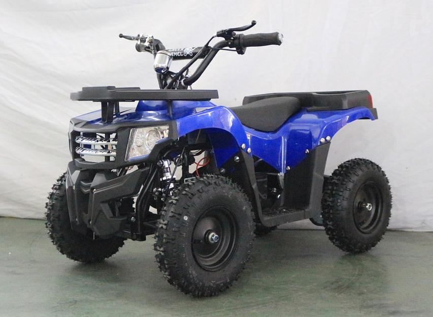 Квадроцикл GreenCamel Гоби K24 (36V 800W R6 Цепь) синий фото 5