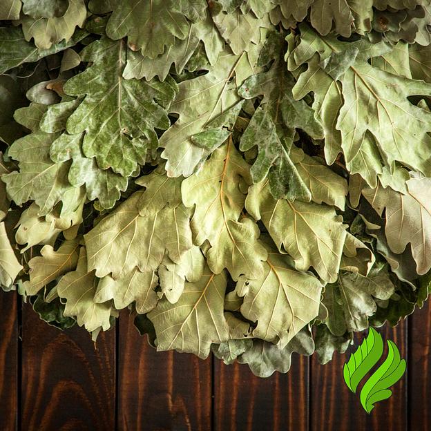 Дубовый веник для бани фото 2