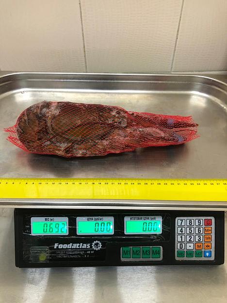 Лобстер канадский (омар) замороженный фото 4