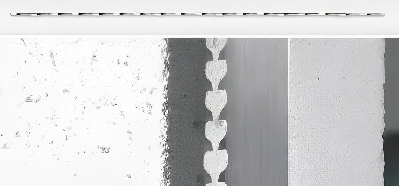 Твердосплавные ленточные пилы Wikus TCT фото 1