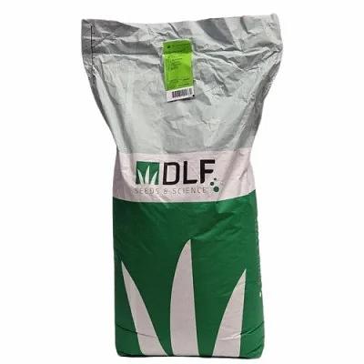 Семена газонной травы «DLF Супер Спорт» 10 кг ОПТ фото 1