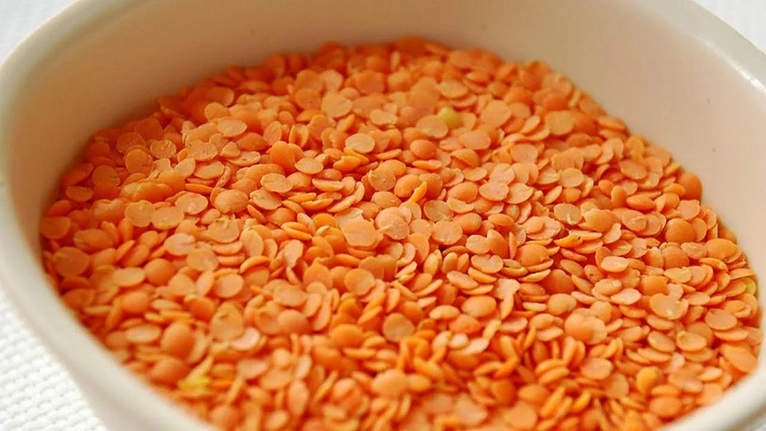 Семена чечевицы красной фото 3