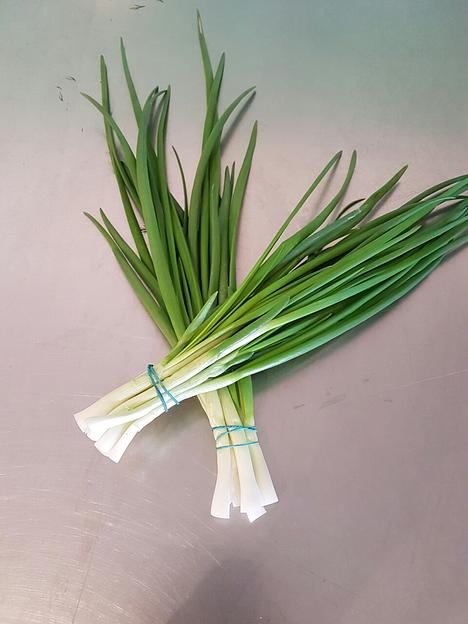 Лук зелёный Alice Garden 50 г ОПТ фото 1