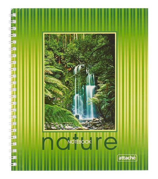 Тетрадь 14406 60л. клет. A5 картон спираль фото 1