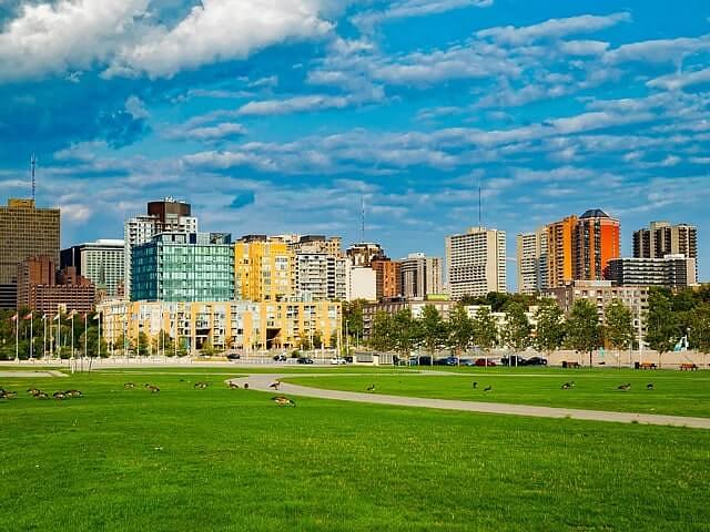 Семена «Травосмесь дорожная универсальная» опт фото 1