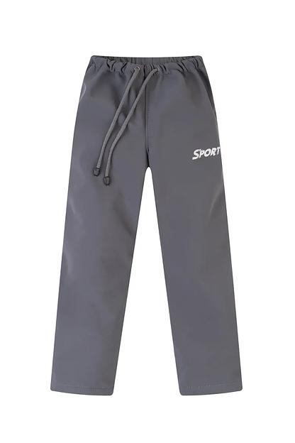 Брюки спортивные демисезонные, серый, опт фото 1