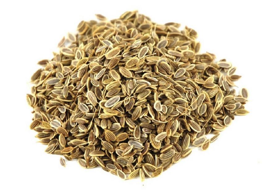 Приправа Укроп семена «Европек» 300 гр, опт фото 1