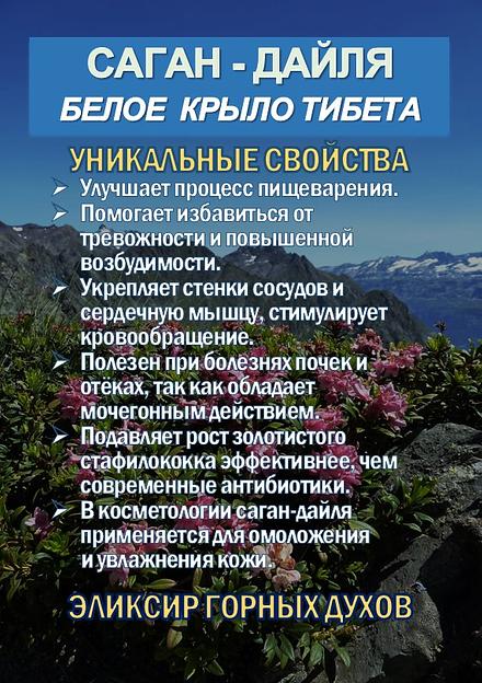 Фиточай Джиаогулан. Гинестемма пятилистная. Южный женьшень. фото 5