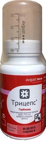 Трицепс, ВДГ фото 1