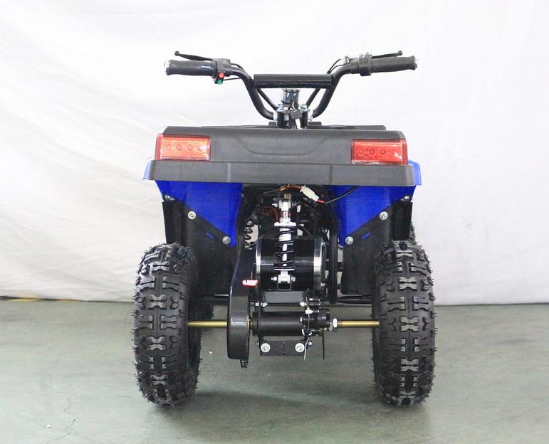 Квадроцикл GreenCamel Гоби K24 (36V 800W R6 Цепь) синий фото 3